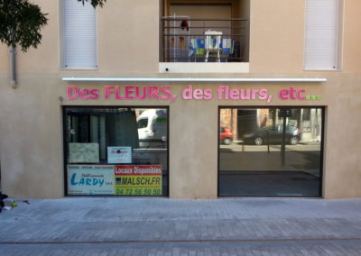 Enseigne avec lettres découpées pour Des fleurs des fleurs à proximité de Lyon par SES (Grigny -Lyon)