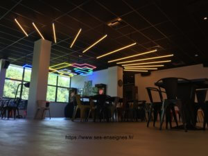 Enseigne Néon Lyon - groupe LDLC - SES Grigny - Lyon Enseigniste