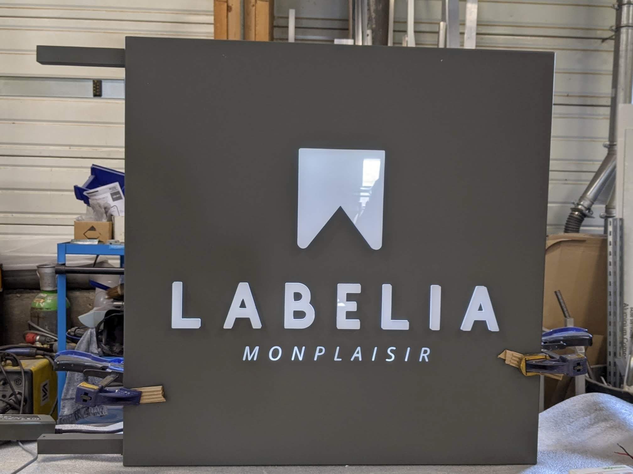 Fabrication-Enseigne-Double-Face-Lumineuse-pour-Labelia-Lyon-Monplaisir-